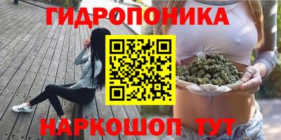 ПСИЛОЦИБИНОВЫЕ ГРИБЫ Бузулук